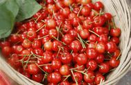 正定的“乡村游”：摘樱桃、品尝甜瓜、采摘草莓