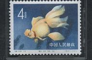 特38号金鱼邮票：金色的水中精灵