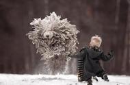 雪地中的牧羊犬变身“拖把”，摄影师的四张照片引爆微信
