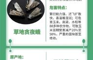 揭秘常见外来入侵物种档案：危害与应对