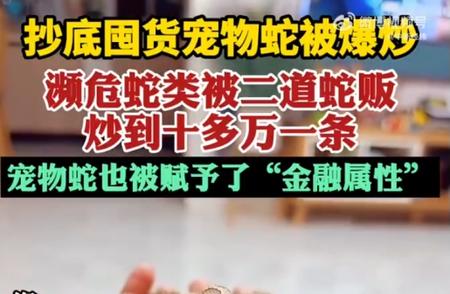 宠物蛇成投资新宠？揭秘“金融蛇”背后的暴涨暴跌真相！