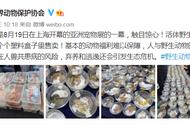 上海亚洲宠物展惊现野生动物销售，主办方紧急回应！