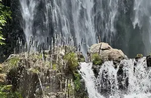 中国“零差评”旅游景区揭秘，浙江成旅游胜地！