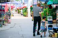 揭秘武汉花鸟市场：如何避免购买宠物的黑幕和套路