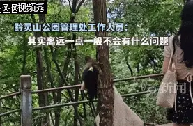 知名景区惊现猴群袭击女游客：如何应对猴群行为？