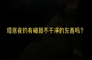 浙江钓友桥下夜钓遇神秘黑影，惊心动魄的逃生经历！