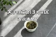 白茶的寒凉性质与冬季是否不搭？揭秘关于白茶的三大误区