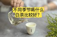 四季之选：白茶的饮用指南