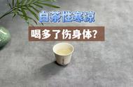 白茶的性质：寒凉还是温和？揭秘真相