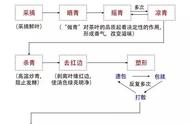 铁观音的诞生：一杯好茶的制作之旅