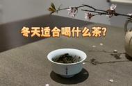 冬日暖茶：绿茶、红茶、白茶、岩茶、普洱茶，哪一种最适合你？