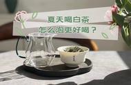 夏季饮白茶，掌握“4大要点”，尽享舒适品茗时光