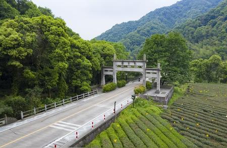 龙井茶的原产地揭秘：如何划分龙井茶的产地？