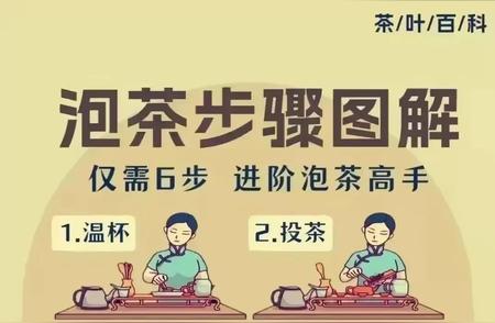 泡茶达人之路：6步走向高手