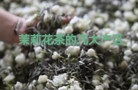 茉莉花茶产区大观：探索原产地奥秘与独特风味