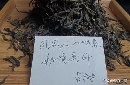 茶的十大寓意深度解读