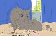 布偶猫绘画教程：轻松画出可爱猫咪，新手也能学会！