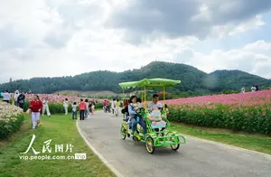 杭州赏花攻略：畅游花海，尽享春光