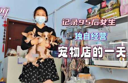 95后女生独自经营宠物店的日常实录