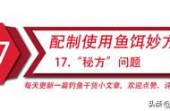 鱼饵配制的绝妙技巧——揭秘“秘方”问题