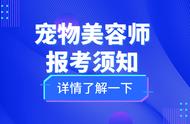 轻松掌握：宠物美容师证书报考全攻略