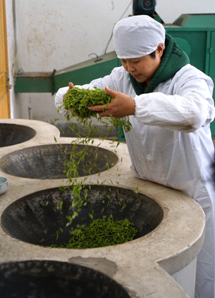 南京：钟山雨花茶春茶开始采摘炒制